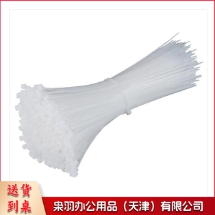 尼龙扎带 白4mm*200mm/500个（B级）