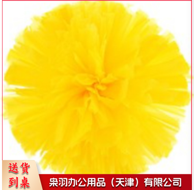 啦啦队花球124体育运动防撞设备