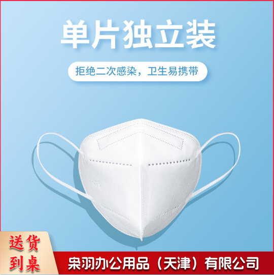 N95口罩 独立包装