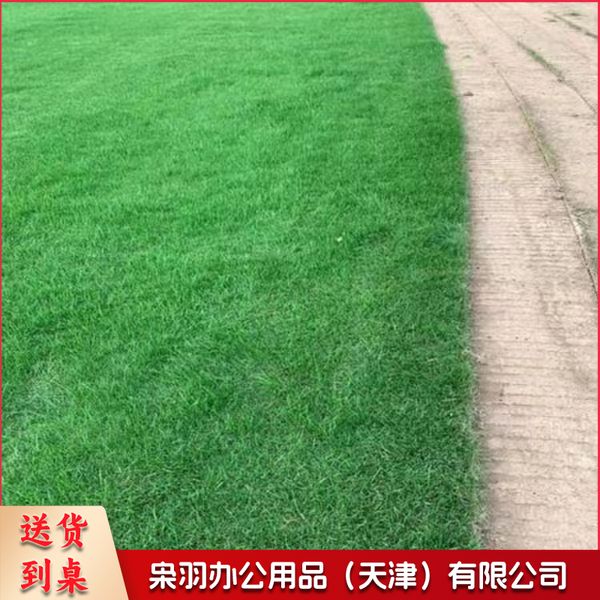 足球场草籽  1斤