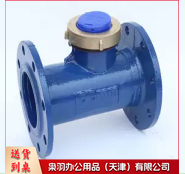 法兰水表DN80
