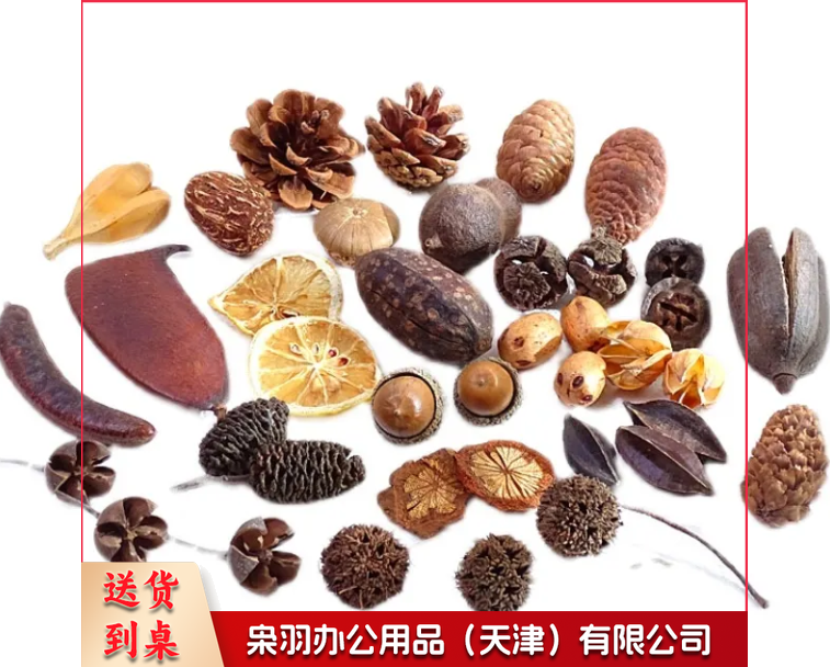 干花干果组合套装幼儿园DIY手工材料包松果橡果干花摆件拍照道具混装100个
