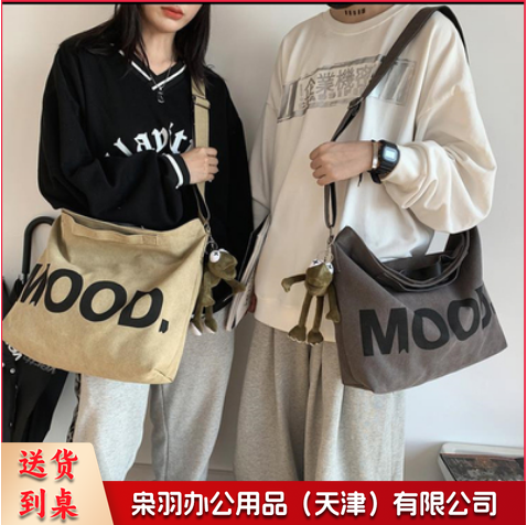 帆布包女单肩包斜挎包包布袋手提2023年新款大学生上课大容量手提包