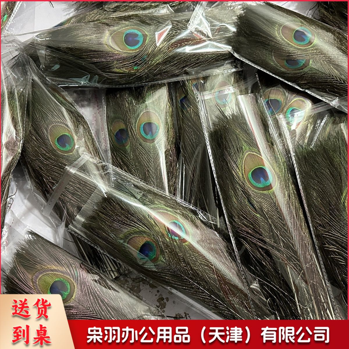 厂家供应25-130厘米孔雀毛大眼睛羽毛插花瓶花耳环饰品孔雀羽毛扇（60-70cm）