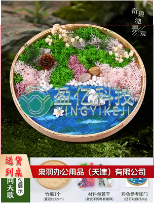 永生苔藓画材料包竹编筐手工DIY竹框创意植物画绿植相框暖场团建 曲项向天歌