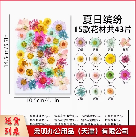 干花diy材料压花书签押花画满天星玫瑰真树叶植物标本夏日缤纷(约40片)滴胶