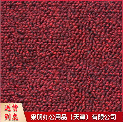纯灰红色蓝色加密大圈绒满铺地毯办公室台球室健身房教室地毯 1平米价格(不含安装)