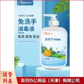 瑞普安 免洗洗手液 500ml 单位：瓶