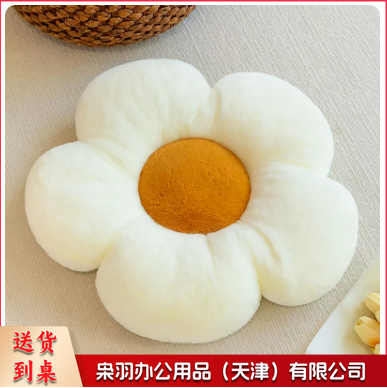 ins风太阳花抱枕