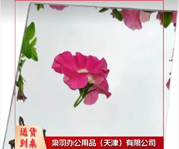 装饰镜子 590*330 (尺寸订购前确认，50张起订)