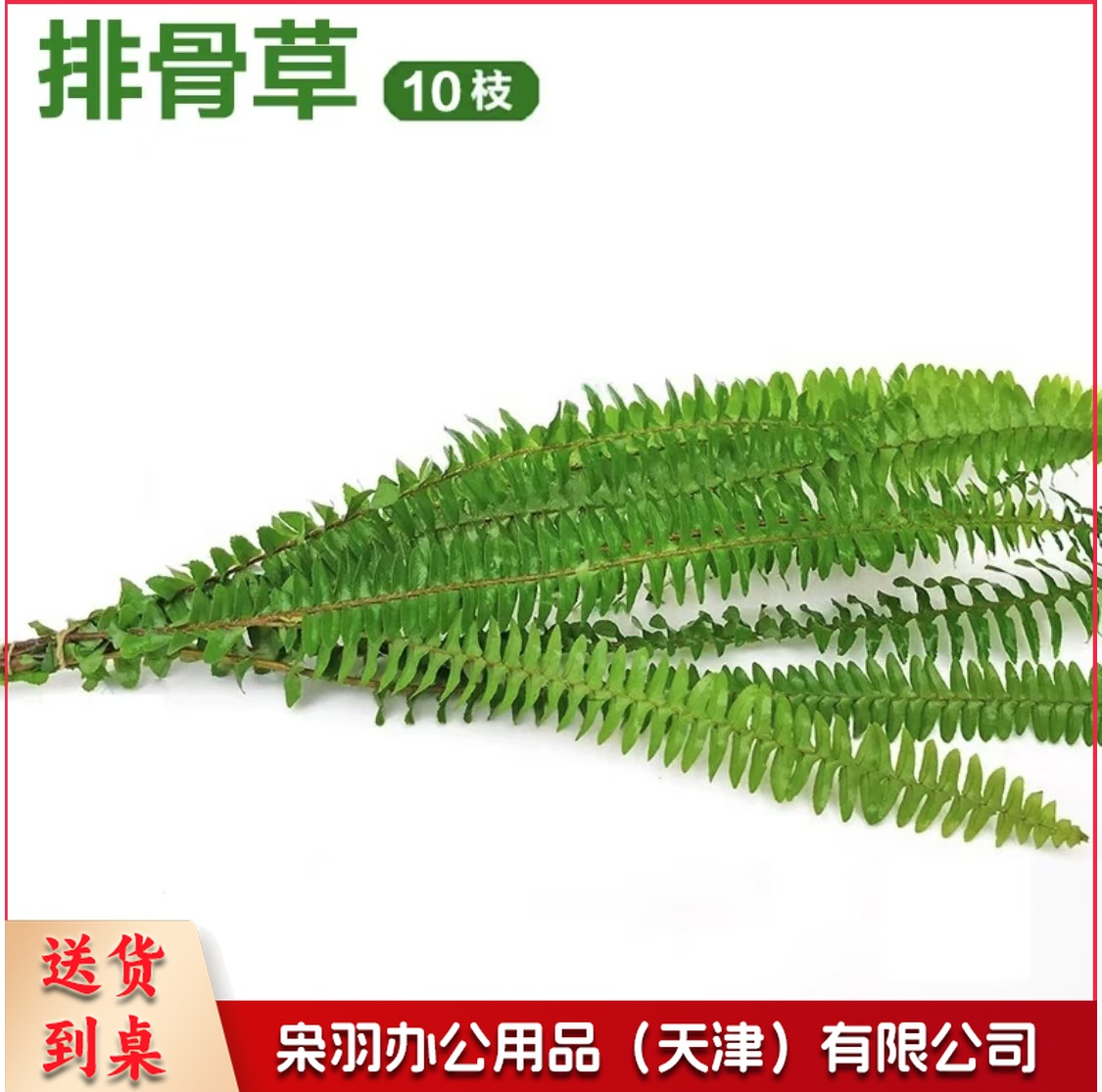 酒店西餐花草摆盘排骨草(10片/包 )