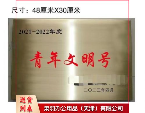 奖牌 门牌 青年文明号奖牌48*30cm 具体定制内容联系客服