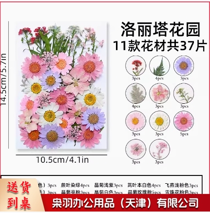 干花diy材料压花书签押花画满天星玫瑰真树叶植物标本滴胶