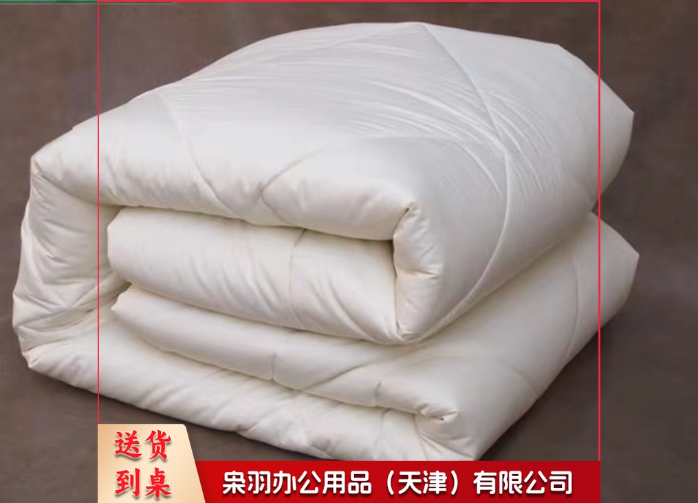 羽丝被芯   规格：1.8米*2.3米  单位：条