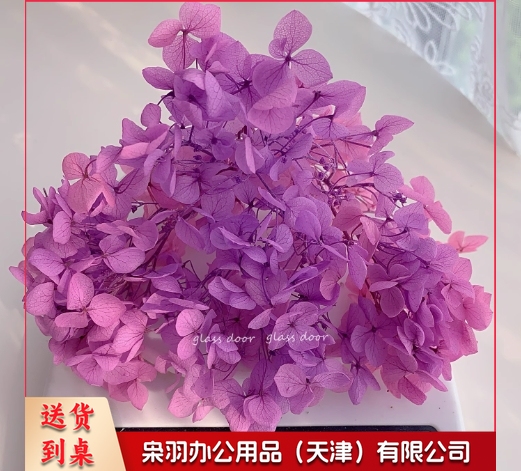 永生花绣球渐变色手工diy干花婚鞋贴脸玻璃罩花器团建活动花艺课安娜粉紫渐变5克
