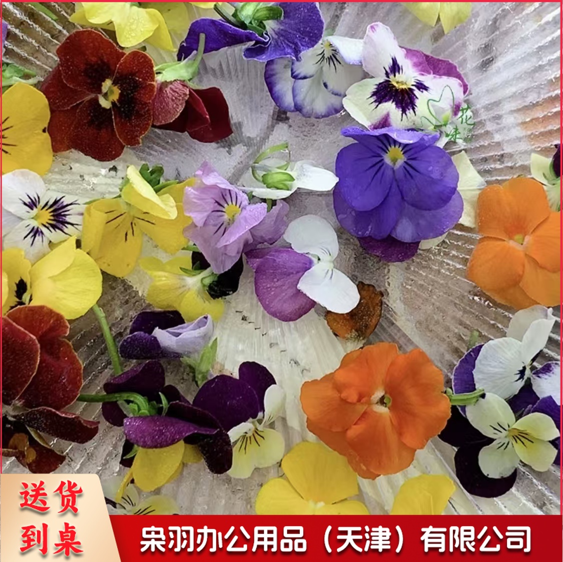 酒店西餐花草摆盘新鲜三色堇鲜花(50朵/包 )可食用