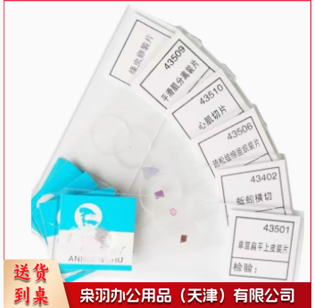 平滑肌分离装片