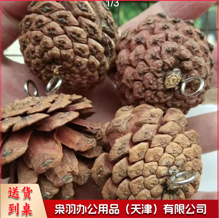 圣诞松果带钉松果天然手工圣诞装饰松果挂件摄影道具diy鹦鹉玩具