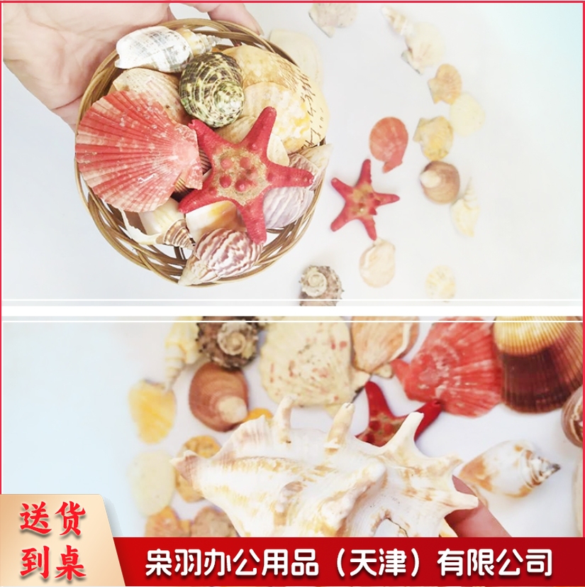 幼儿园DIY手工制品 贝壳套装 海洋品 混装 (袋装)
