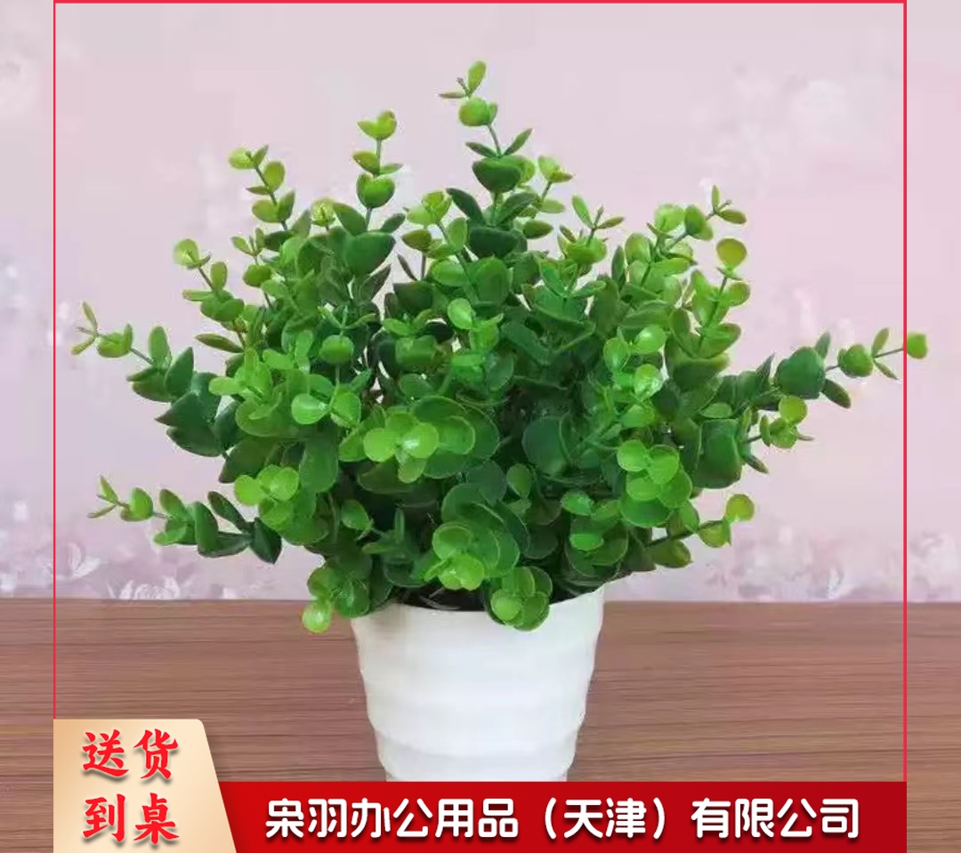 装饰花束仿真植物尤加利