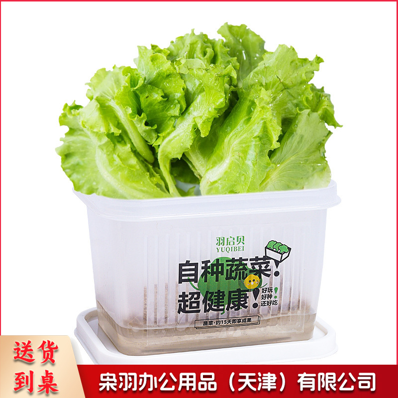 创意盆栽水培阳光种植房儿童玩具科学实验套装植物生长观察盒diy基础款（无字盒子/毛毡、种子）