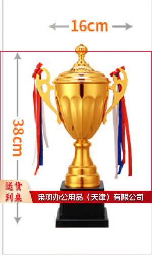 奖杯 运动会奖杯38*16cm 具体定制内容联系客服