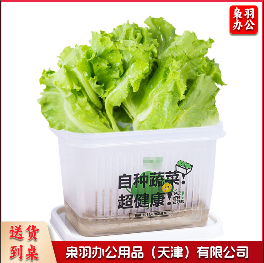 创意盆栽水培阳光种植房儿童玩具科学实验套装植物生长观察盒diy基础款（无字盒子/毛毡、种子）