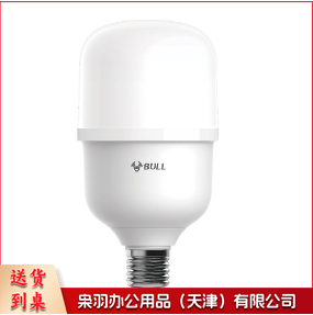 公牛设备照明灯泡100W