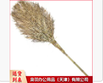竹扫帚 环卫大扫帚 扫马路笤帚