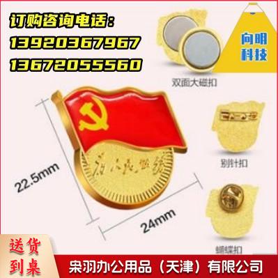 党徽 党员徽章 党徽胸章 强磁 磁扣款（100个起售）教具