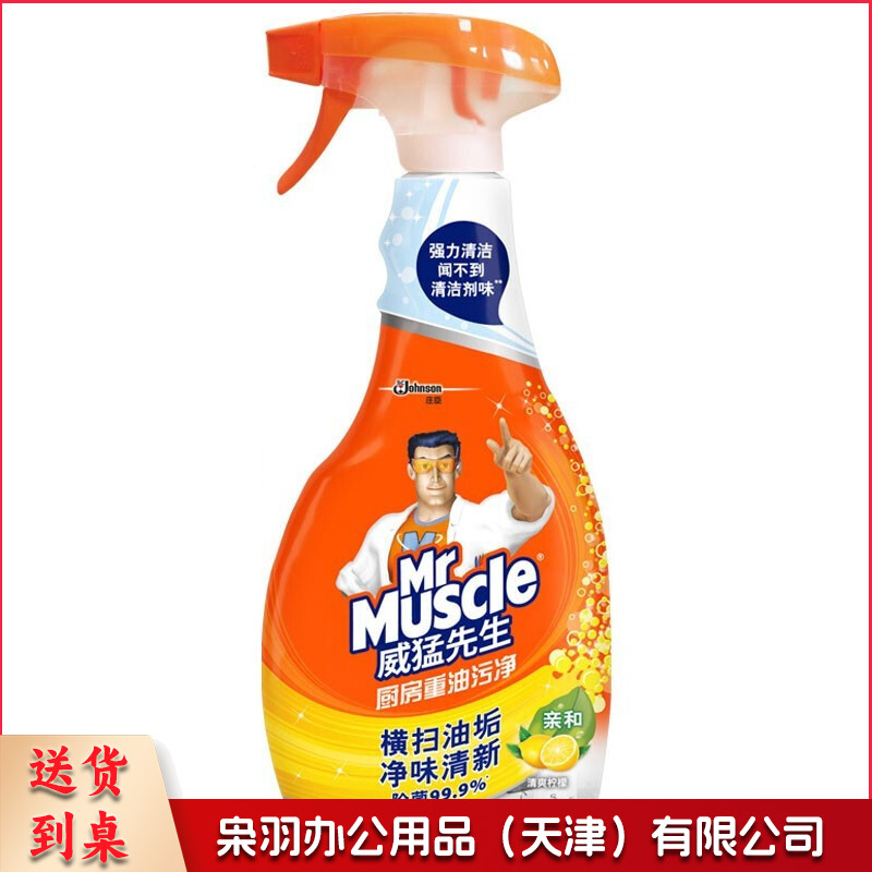 威猛先生重油污清洁剂厨房重油污净 500g TJHX06251746119169