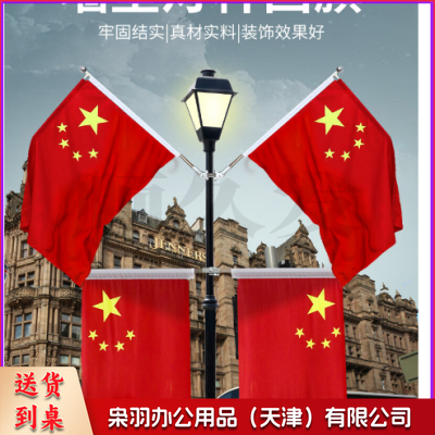 中国五星红旗国旗带杆户外串旗壁挂斜插式旗杆 门口家里店铺商场装饰马路路灯挂旗 【国旗串旗2条】8号国旗100面（约30米）紧密款