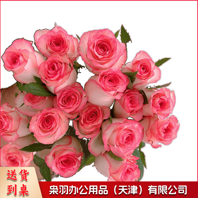 鲜花香槟玫瑰昆明基地直发水养鲜切花同城速递情人节花束（定制款详情咨询客服）