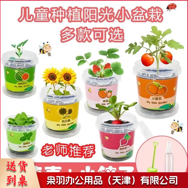 儿童种植小盆栽太阳花向日葵草莓花种籽子植物生长观察蔬菜种子（大塑罐+喷壶+小铲）