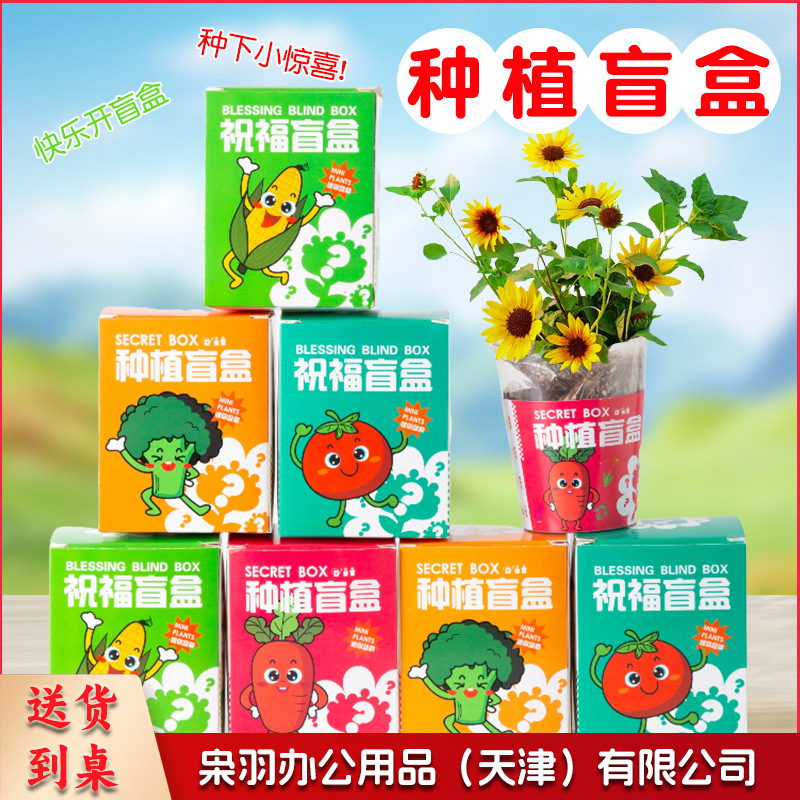 种植盲盒儿童植物盆栽小盆栽幼儿园观察植物小学生种子迷你（种植植物盲盒）
