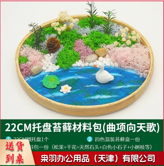 苔藓微景观盆栽diy材料包 （小号）曲项向天歌+微景观材料包