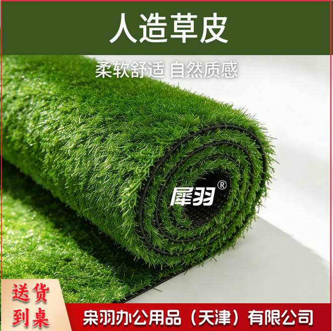人造草坪，普通11针2米*25米/卷 超薄款3cm高（质保一年）