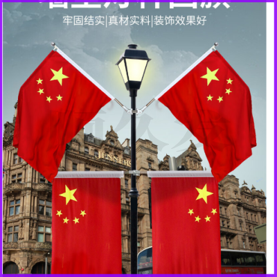 中国五星红旗国旗带杆户外串旗壁挂斜插式旗杆 门口家里店铺商场装饰马路路灯挂旗 【国旗串旗2条】8号国旗100面（约30米）紧密款