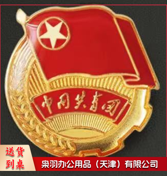 团徽徽章 加厚 标准型团徽 正版 背面带 共青团中央监制字样(别针款 磁扣款 可选)10个一套，整套出售