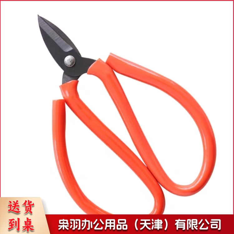 小剪刀剪线鱼头小剪刀