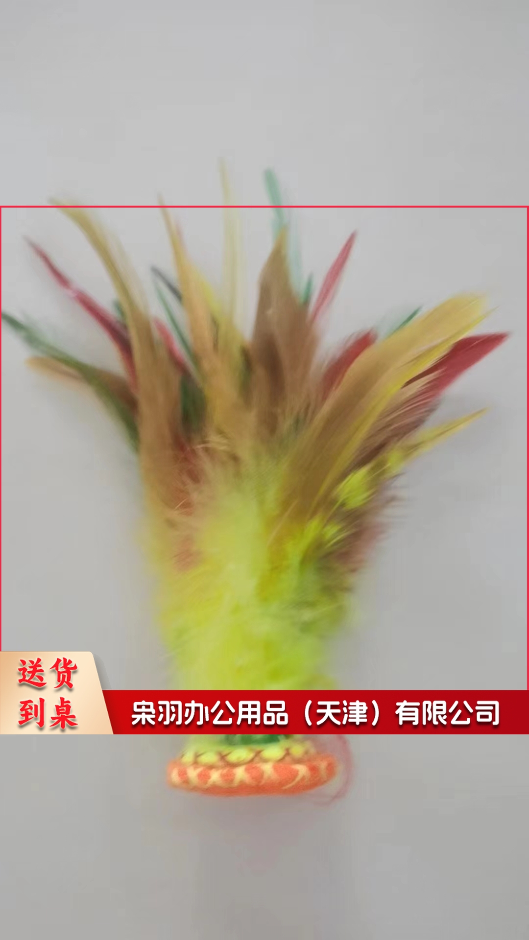 毽子 软毛 鸡毛毽子 学生毽子