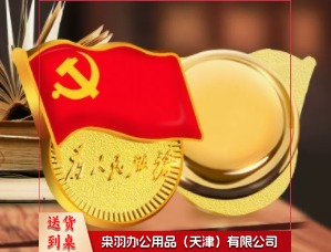 党徽 强磁党徽 双面强磁党徽教具