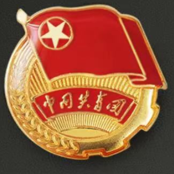 团徽徽章正版 加厚 标准型团徽 背面带 共青团中央监制字样(50个起售)