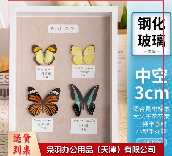 中空相框摆台手工昆虫标本盒立体展示框A   4寸(内径21*29.7cm)白色(中空3cm)