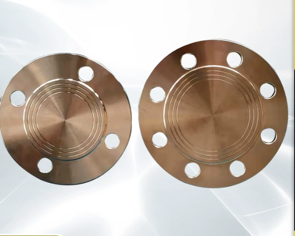 法兰盲板国标 不锈钢 DN250(含开孔)