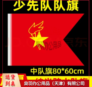 少先队队旗 标准 纳米 防水 大队旗 中队旗···-