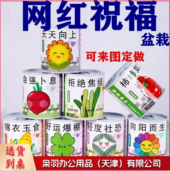儿童种植易拉罐盆栽绿植盲盒幼儿园小学生植物生长观察发芽种子（任选款式）-