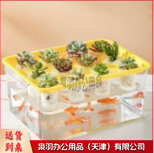 水培育苗箱```