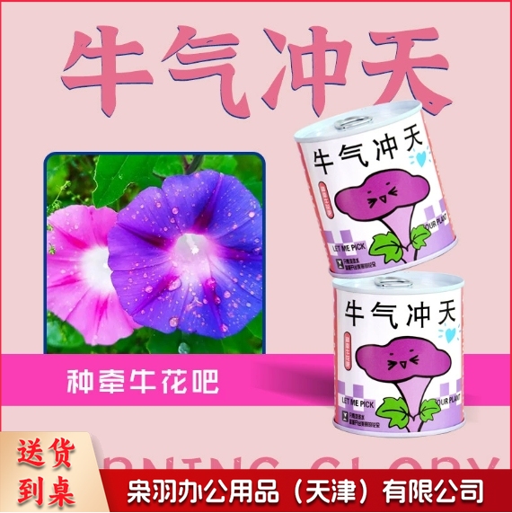 儿童种植易拉罐盆栽绿植盲盒幼儿园小学生植物生长观察发芽种子（任选款式）-