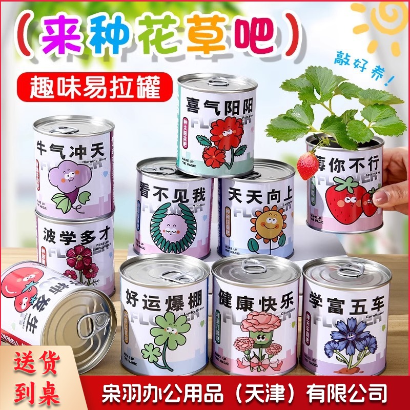 儿童易拉罐种植小盆栽幼儿园小礼物桌面61儿童节种子学生趣味绿植（为你种草）-